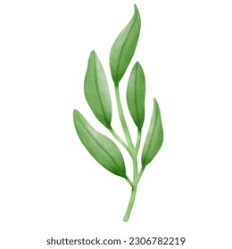 Watercolor Green leaves, green branches. For anniversary, wedding invitations, posters and more.  Vector illustration eps10.