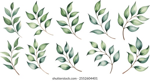 Watercolor green leaves branches.Green leaves, branches for greetings, invitations, wallpaper, fashion, backgrounds.
