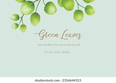 watercolor green leaves eucalyptus background 