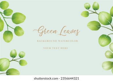 watercolor green leaves eucalyptus background 