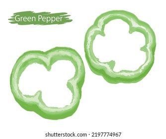 Watercolor green pepper(slices).  Vector illustration.