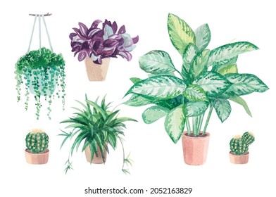 Watercolor green plants in pots. Natural watercolor greeting cards isolated on white background, greenery botanical illustration