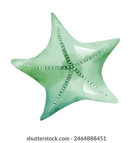 Watercolor green starfish. Watercolor summertime ocean element.