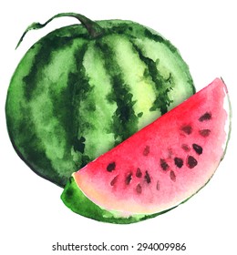 Watercolor green stripe watermelon and red slice vector isolated