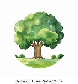 watercolor A green tree illustration