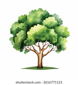 watercolor A green tree illustration
