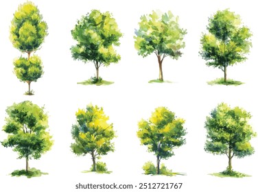 watercolor green tree isolated on white background for landscape and architecture drawing, elements for environment and garden, botanical for section in spring