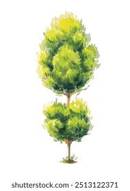 watercolor green tree isolated on white background for landscape and architecture drawing, elements for environment and garden, botanical for section in spring