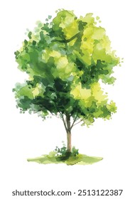 watercolor green tree isolated on white background for landscape and architecture drawing, elements for environment and garden, botanical for section in spring