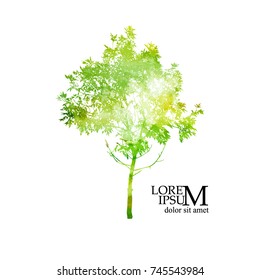 Watercolor green tree. Vector