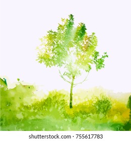 Grüner Aquarell. Vektorgrafik