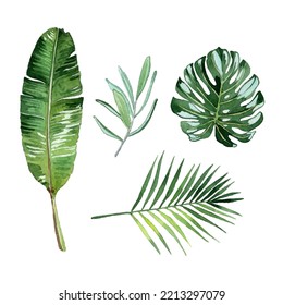 Watercolor green tropical leaf elements collection