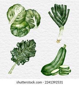 watercolor green vegetable food element