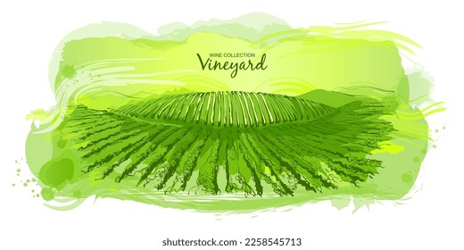 Watercolor green vineyard valley field on a small hill. Potato plantation farm. Wine logo label background. Rural scenery countryside landscape. Sketch vector hand draw illustration