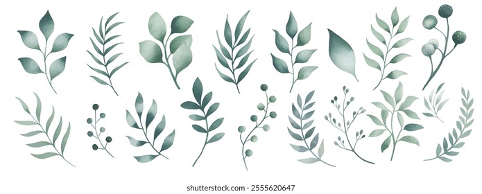 Watercolor hand drawin  leaves vector illustration. Green leaves, green branches collection, eucalyptus, olive leaves.