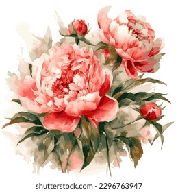 Watercolor hand drawing, beautiful flowerson white isolated background, Bouquet of flowers from peonies