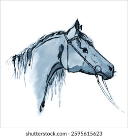 Watercolor hand drawing horse, pony or stallion head in bridle. Retro style. England equestrian sport. Hand painting vector graceful stylish art. Horse riding hobby. Grey color pets face