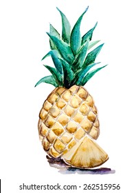 Watercolor hand drawing pineapple, vector