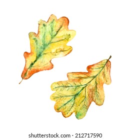 watercolor hand drawn autumn colorful oak leaves