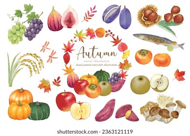 Watercolor hand drawn autumn fruits and food cartoon set