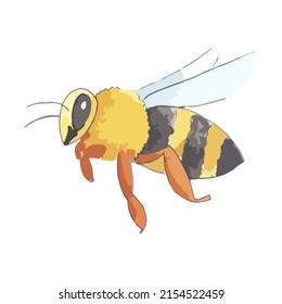 Watercolor hand drawn bee, vector illustration. Bee insect close-up, separate element, silhouette. To create illustrations from flower and insect sets