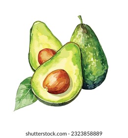 Watercolor hand drawn botanical illustration. Vegetarian fruits. Half avocado. Slice of green avocado.
Watercolor Avocado illustration
