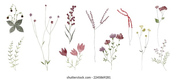 Watercolor hand drawn botanical vector set. Collection of abstract spring wild flowers, grass, leaf branch, floral leaves in minimal style. Design illustration for logo, wedding, invitation, decor