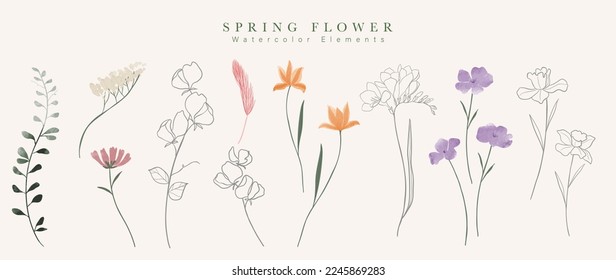 Watercolor hand drawn botanical vector set. Collection of abstract spring wild flowers, grass, leaf branch, floral leaves in minimal style. Design illustration for logo, wedding, invitation, decor