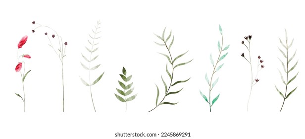Watercolor hand drawn botanical vector set. Collection of abstract spring wild flowers, grass, leaf branch, floral leaves in minimal style. Design illustration for logo, wedding, invitation, decor