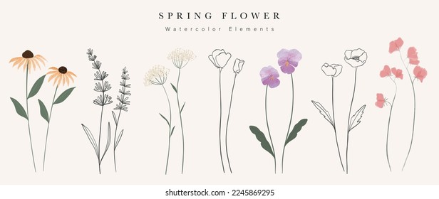 Conjunto de vectores botánicos dibujados a mano con acuarela. Colección de flores silvestres de primavera abstracta, hierba, rama de hoja, hojas florales en un estilo mínimo. Ilustración de diseño del logotipo, boda, invitación, decoración