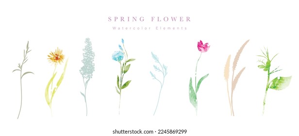 Watercolor hand drawn botanical vector set. Collection of abstract spring wild flowers, grass, leaf branch, floral leaves in minimal style. Design illustration for logo, wedding, invitation, decor