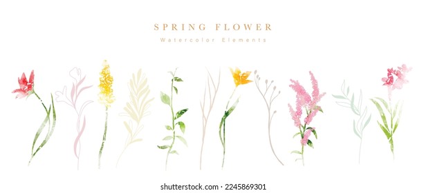 Watercolor hand drawn botanical vector set. Collection of abstract spring wild flowers, grass, leaf branch, floral leaves in minimal style. Design illustration for logo, wedding, invitation, decor