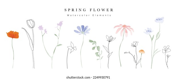 Watercolor hand drawn botanical vector set. Collection of abstract spring wild flowers, grass, leaf branch, floral leaves in minimal style. Design illustration for logo, wedding, invitation, decor