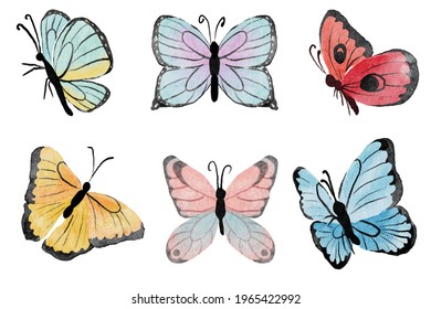 watercolor hand drawn colorful butterfly collection isolated on white background digital painting