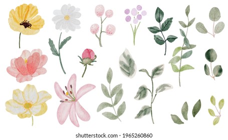 watercolor hand drawn colorful spring flower and green leaf elements collection isolated on white background digital painting