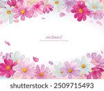 Watercolor hand drawn cosmos flowers vector illustration frame