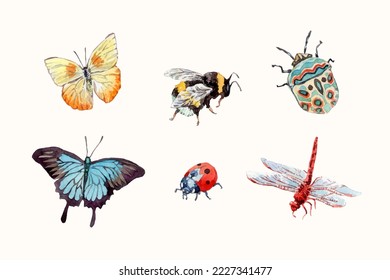 Watercolor hand drawn different insects collection