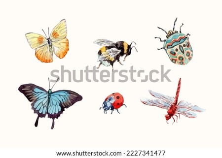 Watercolor hand drawn different insects collection