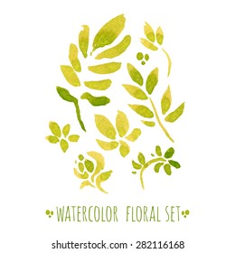 Watercolor hand drawn floral set.Isolated decorative elements on white paper.
