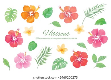 Watercolor hand drawn hibiscus tropical botanical illustration