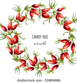 Watercolor hand drawn illustrated canker-rose wreath. Fall harvest border. Red dog rose  berries background. Vector