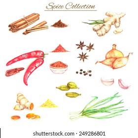 Watercolor hand drawn illustration with different spices: pepper, curcuma, onion, cardamom, ginger, anise