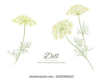 Watercolor hand drawn illustration of fresh nadir leaves