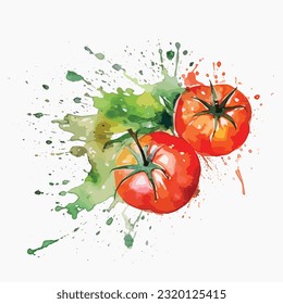 Aquarell handgezeichnete Illustration von Tomaten mit Farbspritzer. Ganzes, Vektorgrafik einzeln auf weißem Hintergrund
