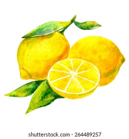 Watercolor hand drawn lemon. Vector fruit icon isolated on white background.