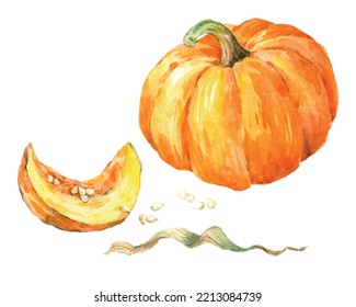 Calabaza naranja de color de agua dibujada a mano con una rodaja y semillas aisladas en fondo blanco. Ilustración del vector