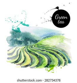 Watercolor hand drawn painted tea vector illustration. Menu design