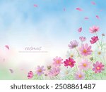 
Watercolor hand drawn pink cosmos flowers background illustration