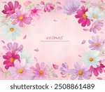 
Watercolor hand drawn pink cosmos flowers background illustration