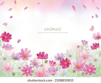 Watercolor hand drawn pink cosmos flowers background illustration